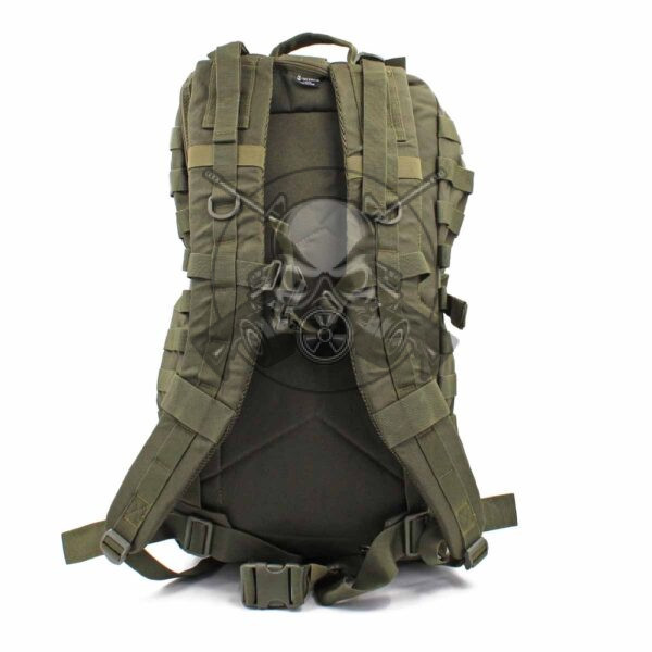 MOCHILA MOLLE ASALTO 54L VERDE - Imagen 2